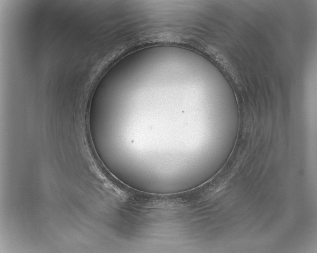 X0000073410625200608111326