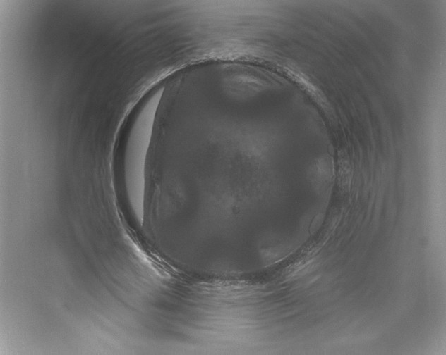 X0000073410626200608111326