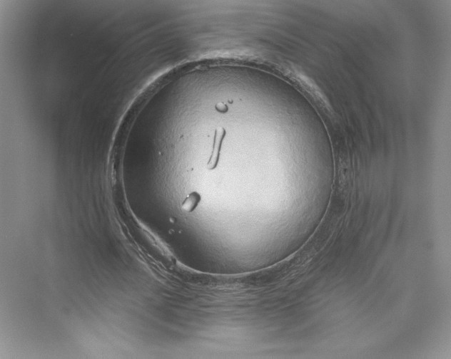 X0000073410628200608111326