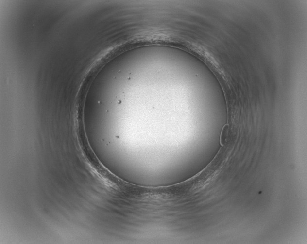 X0000073410629200608111326