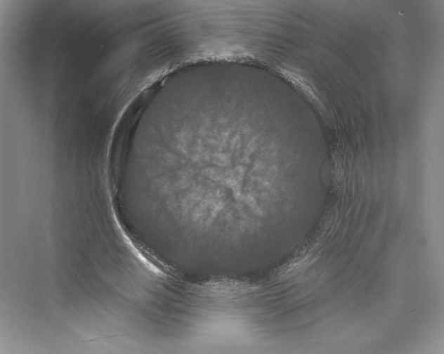 X0000073410630200608111326