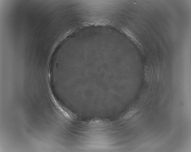 X0000073410634200608111326