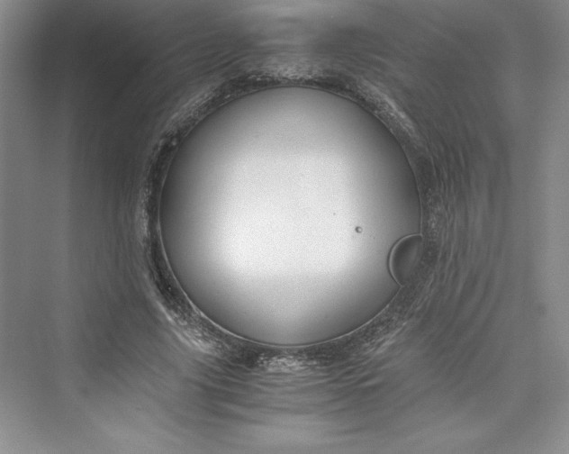 X0000073410635200608111326