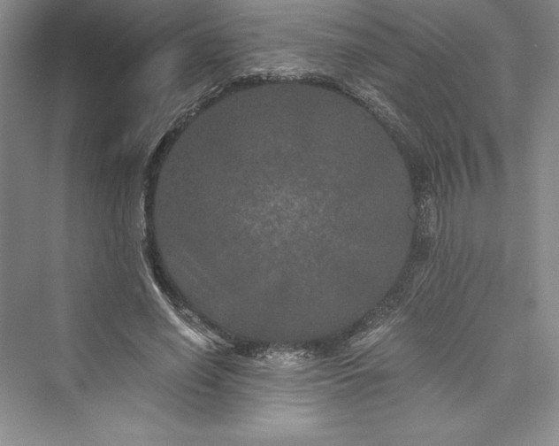 X0000073410638200608111326