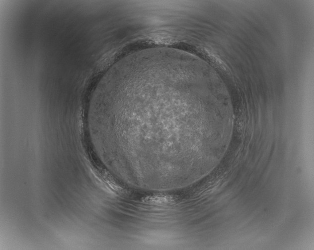 X0000073410639200608111326