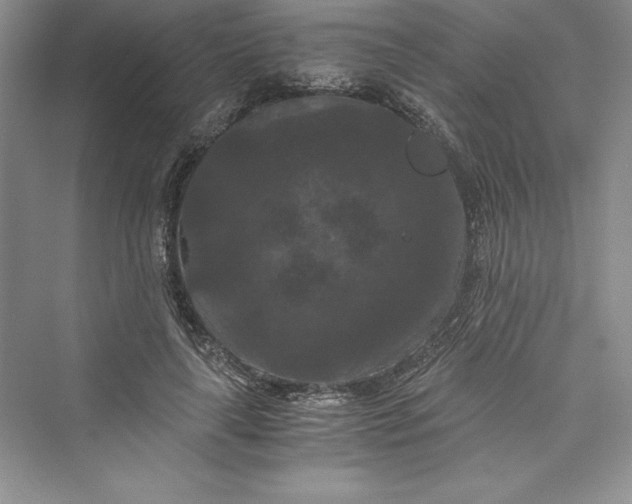 X0000073410643200608111326