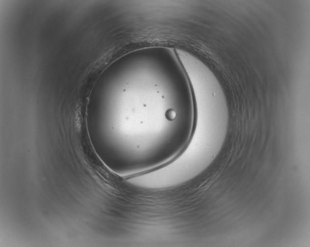 X0000073410644200608111326