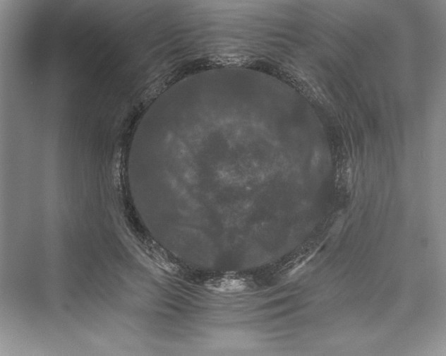 X0000073410647200608111326