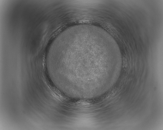 X0000073410648200608111326