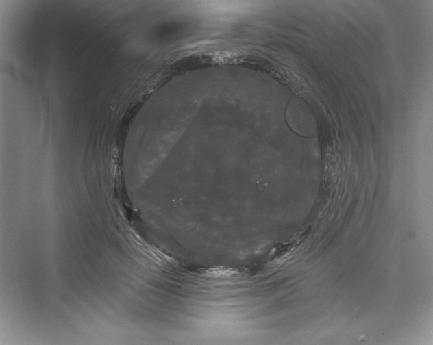 X0000073410650200608111326