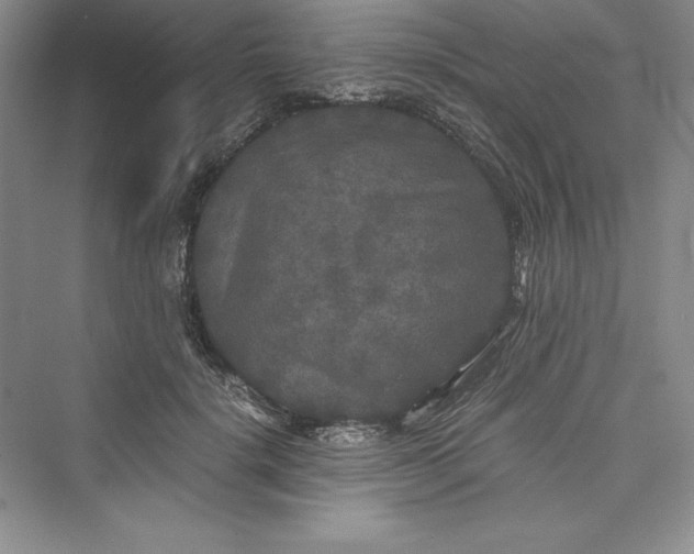 X0000073410652200608111326