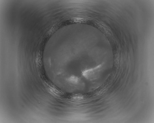 X0000073410653200608111326