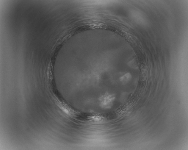 X0000073410654200608111326