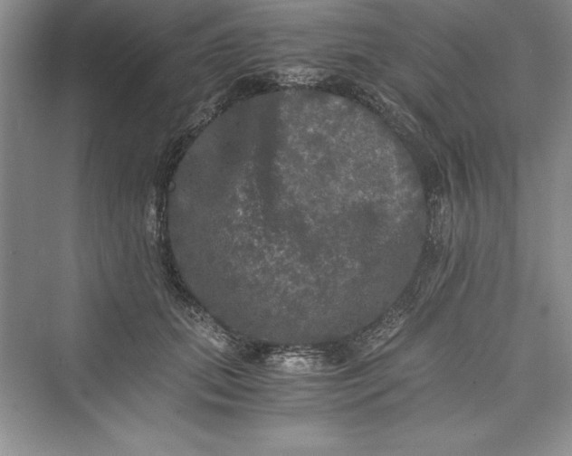 X0000073410655200608111326