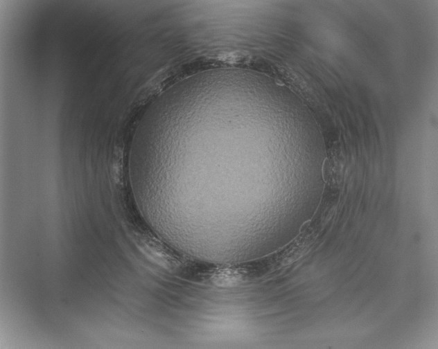 X0000073410656200608111326