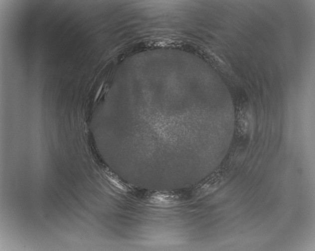 X0000073410657200608111326