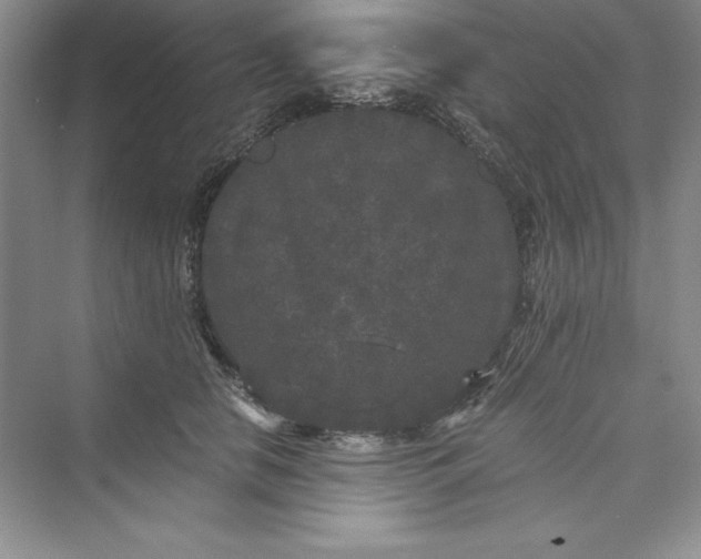 X0000073410658200608111326