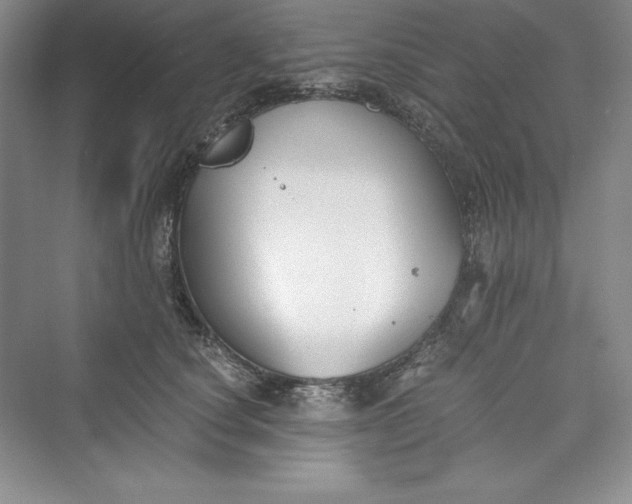 X0000073410660200608111326