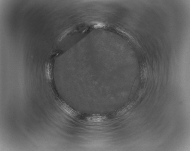 X0000073410661200608111326