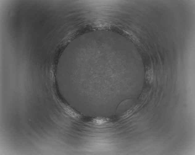 X0000073410662200608111326