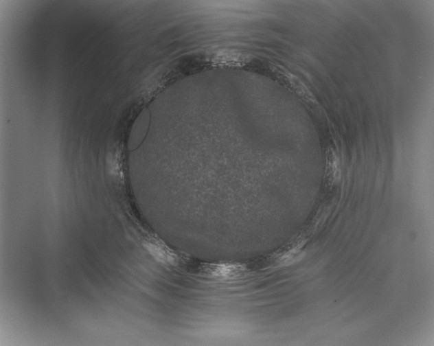 X0000073410663200608111326