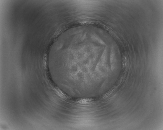 X0000073410664200608111326