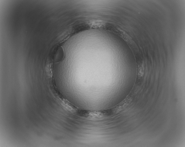 X0000073410666200608111326