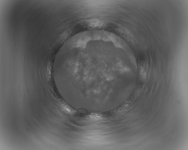 X0000073410668200608111326