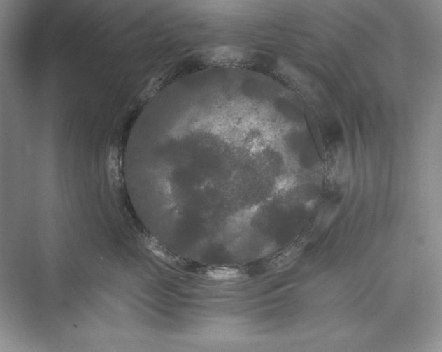 X0000073410669200608111326