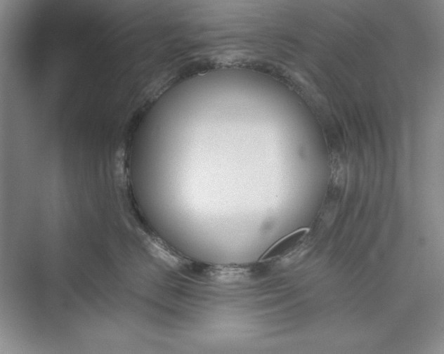 X0000073410670200608111326