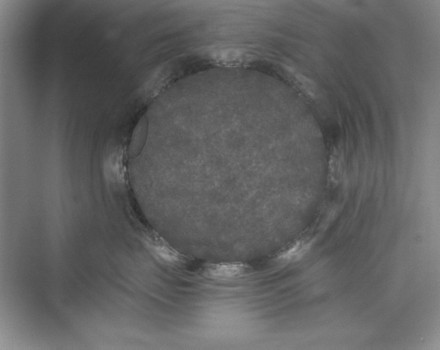 X0000073410671200608111326