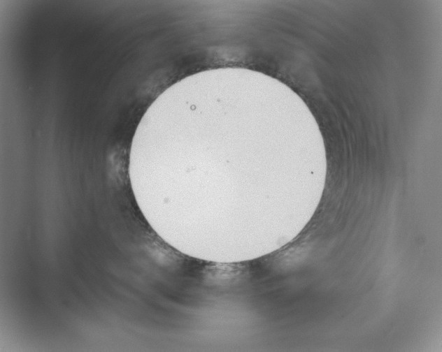 X0000073410672200608111326