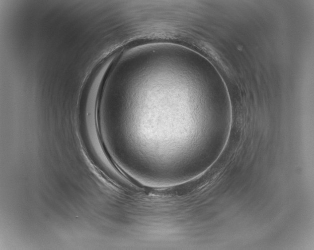 X0000073410677200608111326