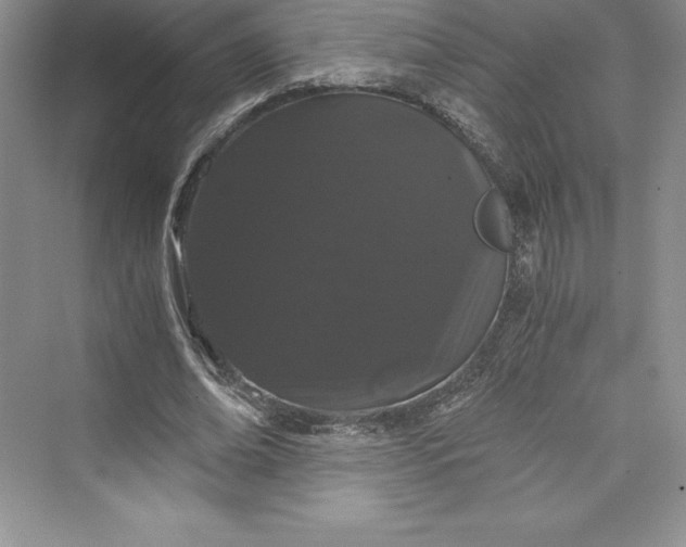 X0000073410678200608111326