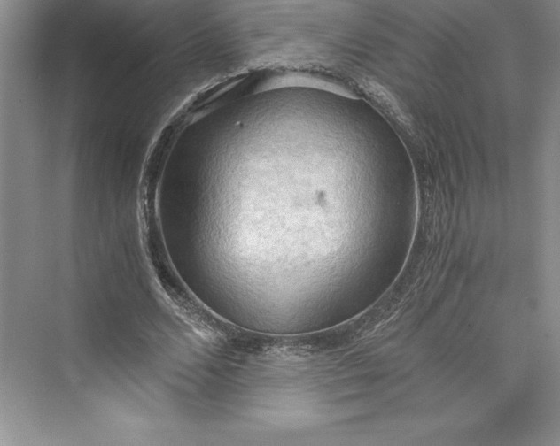 X0000073410680200608111326