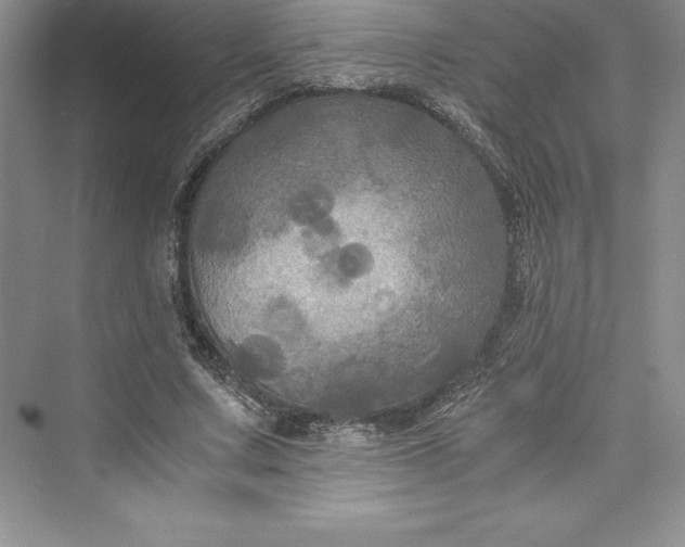 X0000073410683200608111326