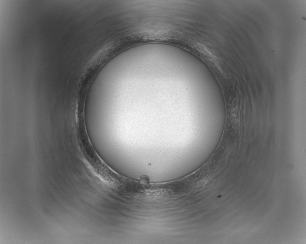 X0000073410686200608111325