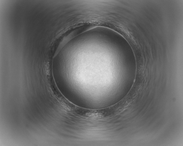 X0000073410689200608111325