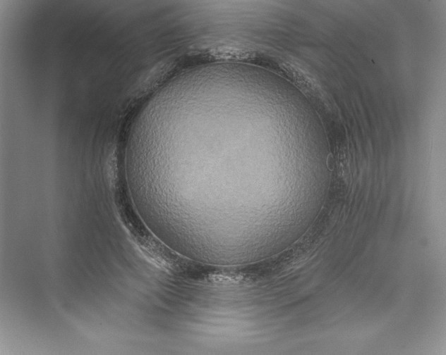 X0000073410690200608111325