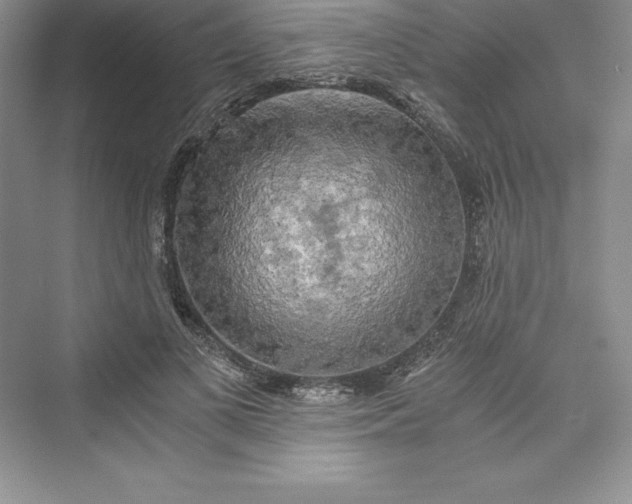 X0000073410693200608111325