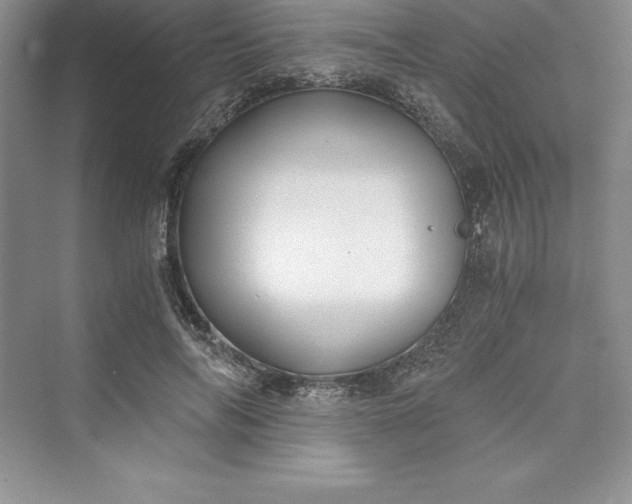 X0000073410694200608111325