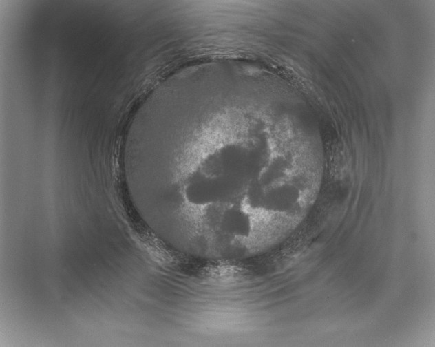 X0000073410695200608111325