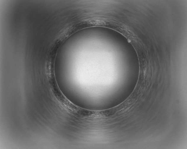 X0000073410696200608111325