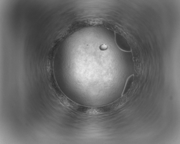 X0000073410704200608111325