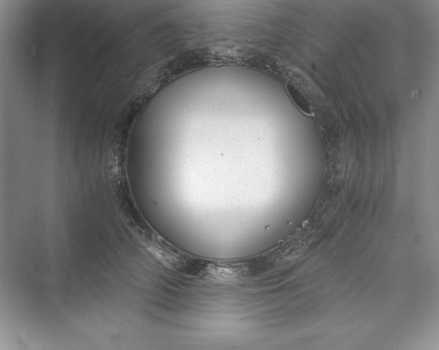 X0000073410706200608111325