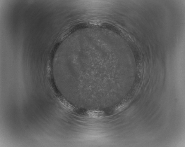 X0000073410707200608111325