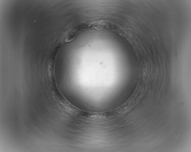 X0000073410708200608111325