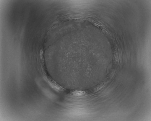 X0000073410711200608111325