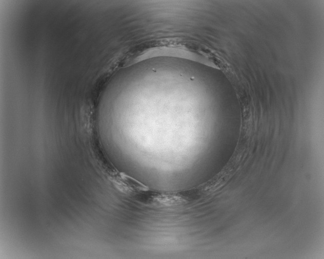 X0000073410712200608111325