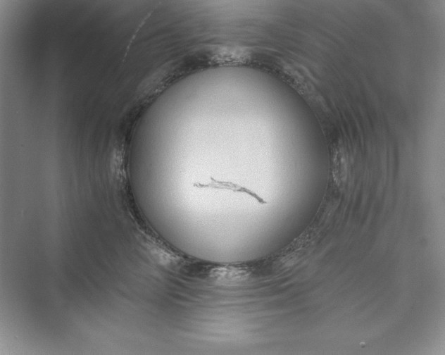 X0000073410714200608111325